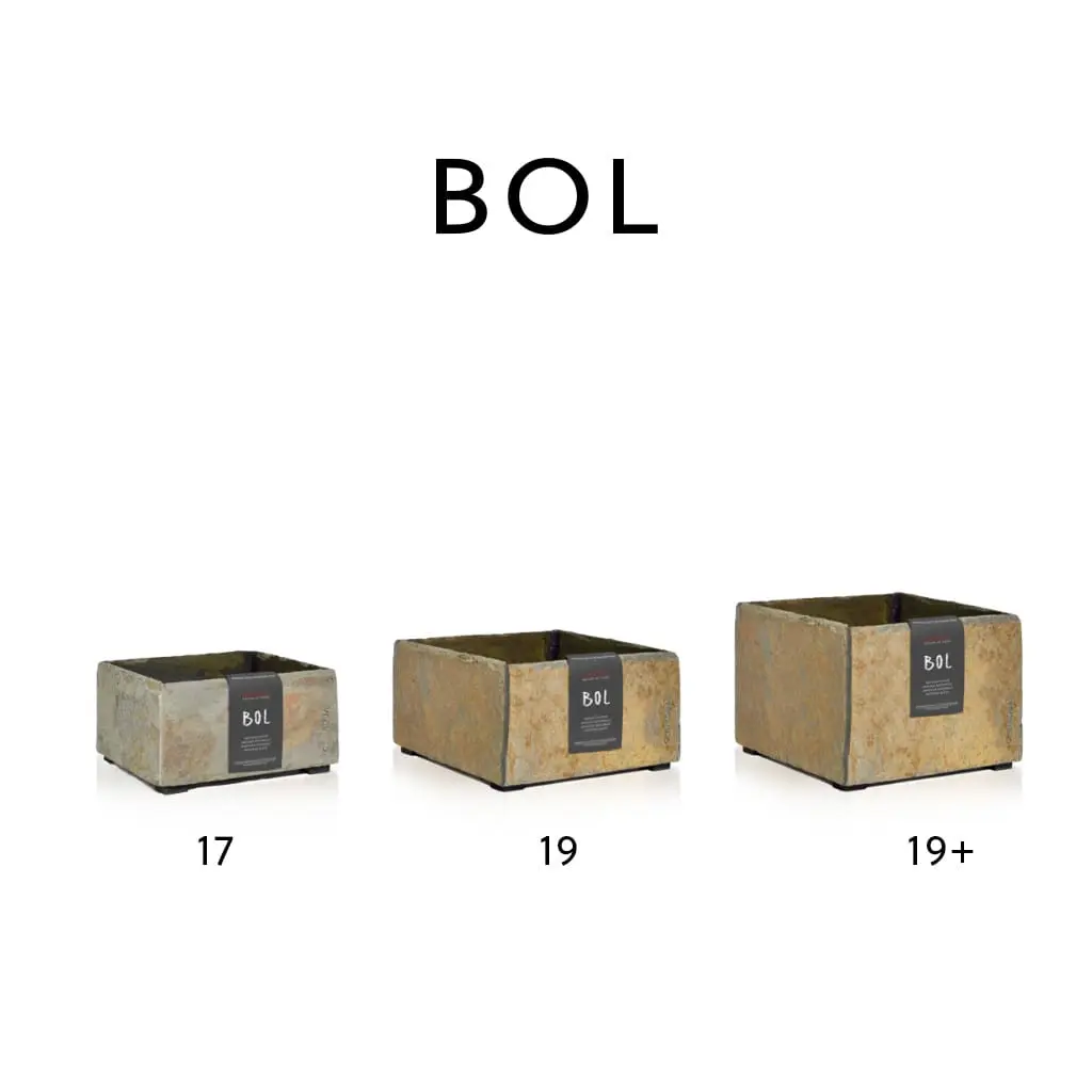 Vorschaubild 4