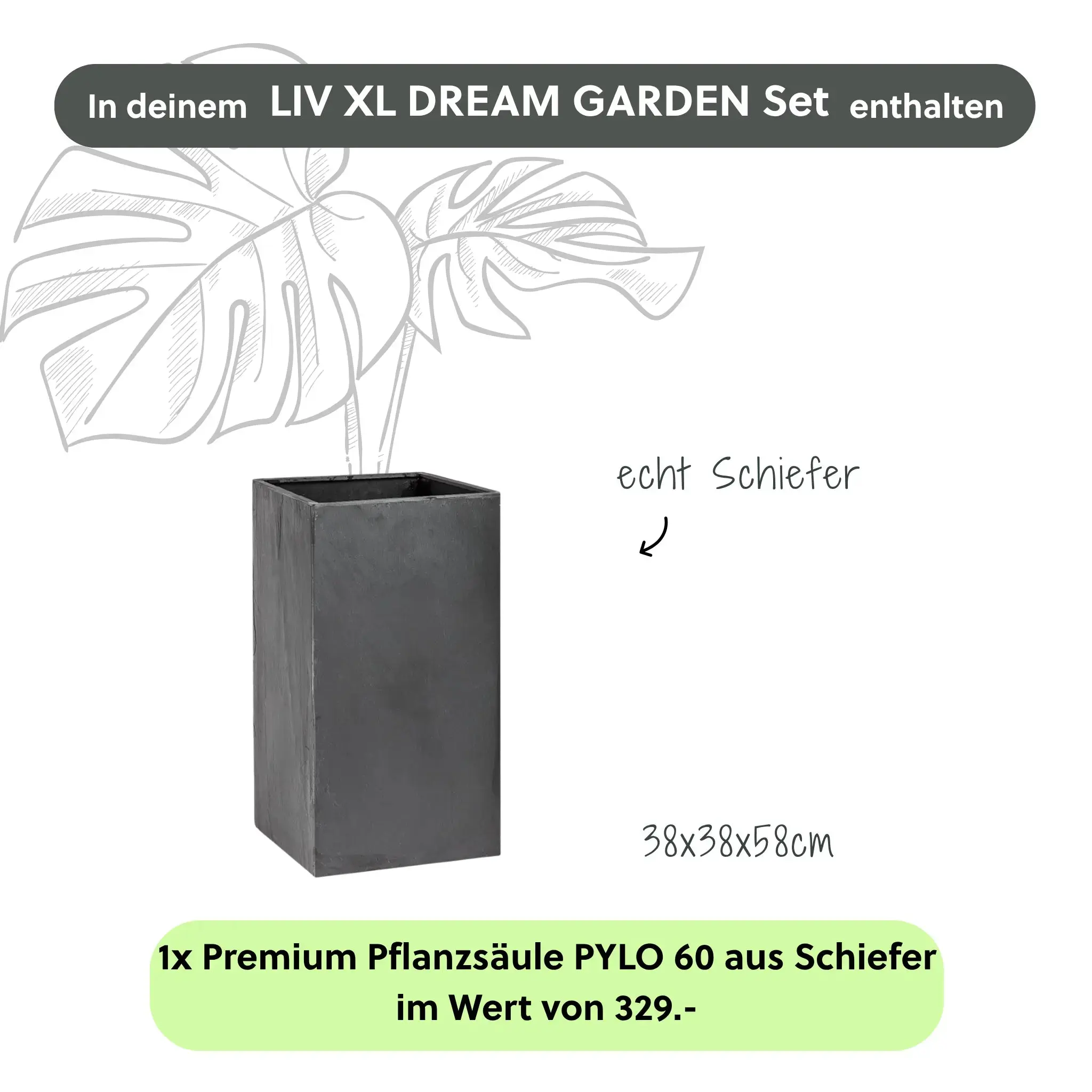 Vorschaubild 4